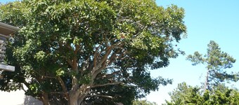 Located in the heart of Cambria.  Stand alone upstairs one bedroom apartment.