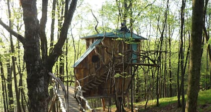 Vermont Treehouse compound: no cleaning fee. Spend a few days In the Trees