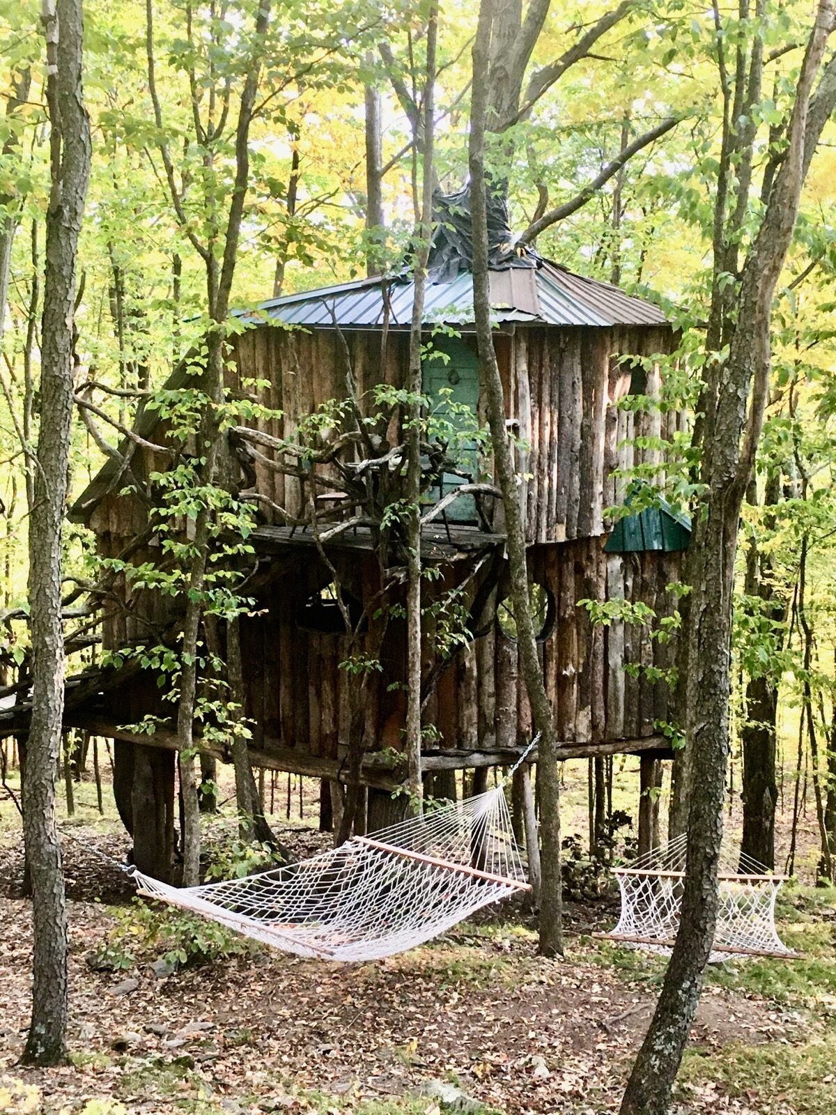 A rustic treehouse with a metal roof, surrounded by trees and a hammock.