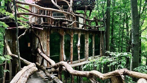 Una casa en el árbol de madera con un puente de madera que la conecta, rodeada de un bosque frondoso.