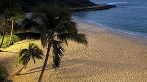 A beach with a palm tree, sandy shore, and a rocky cliff. - Genuine & Affordable 1250 sqft Big Beach-front Corner Unit (WAIANAE)