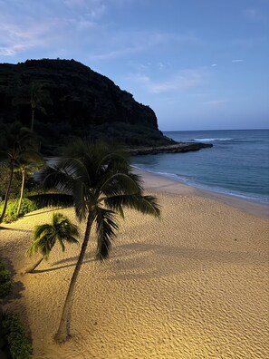 On the beach, sun-loungers, beach towels - Genuine & Affordable 1250 sqft Big Beach-front Corner Unit (WAIANAE)