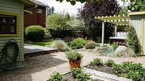 A garden with various plants and a pergola.