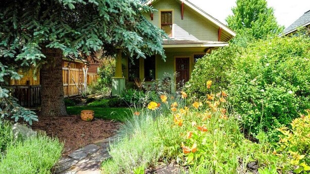 A house with a front yard, a wooden fence, and a large tree.
