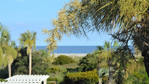 A coastal view with a beach, palm trees, and a white gazebo. - Overlooks Pool & Ocean.  3 BR, 3 BA, Isle of Palms, SC. Near Charleston,S.C. (Isle of Palms)