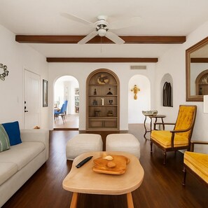 Télévision, cheminée, livres, chaîne hi-fi