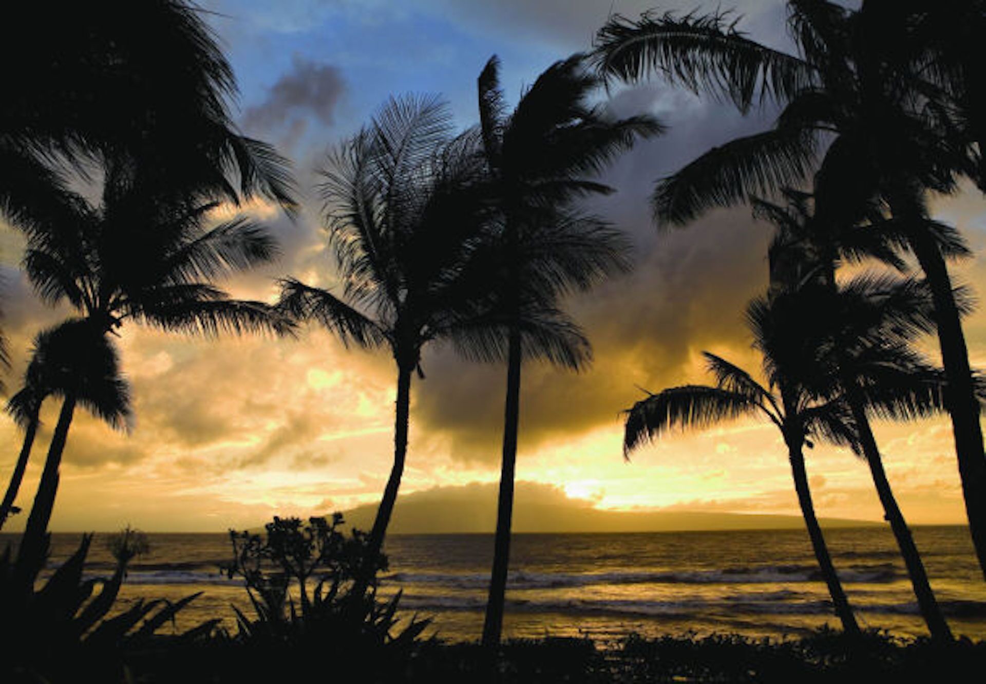 On the beach, sun loungers, beach towels
