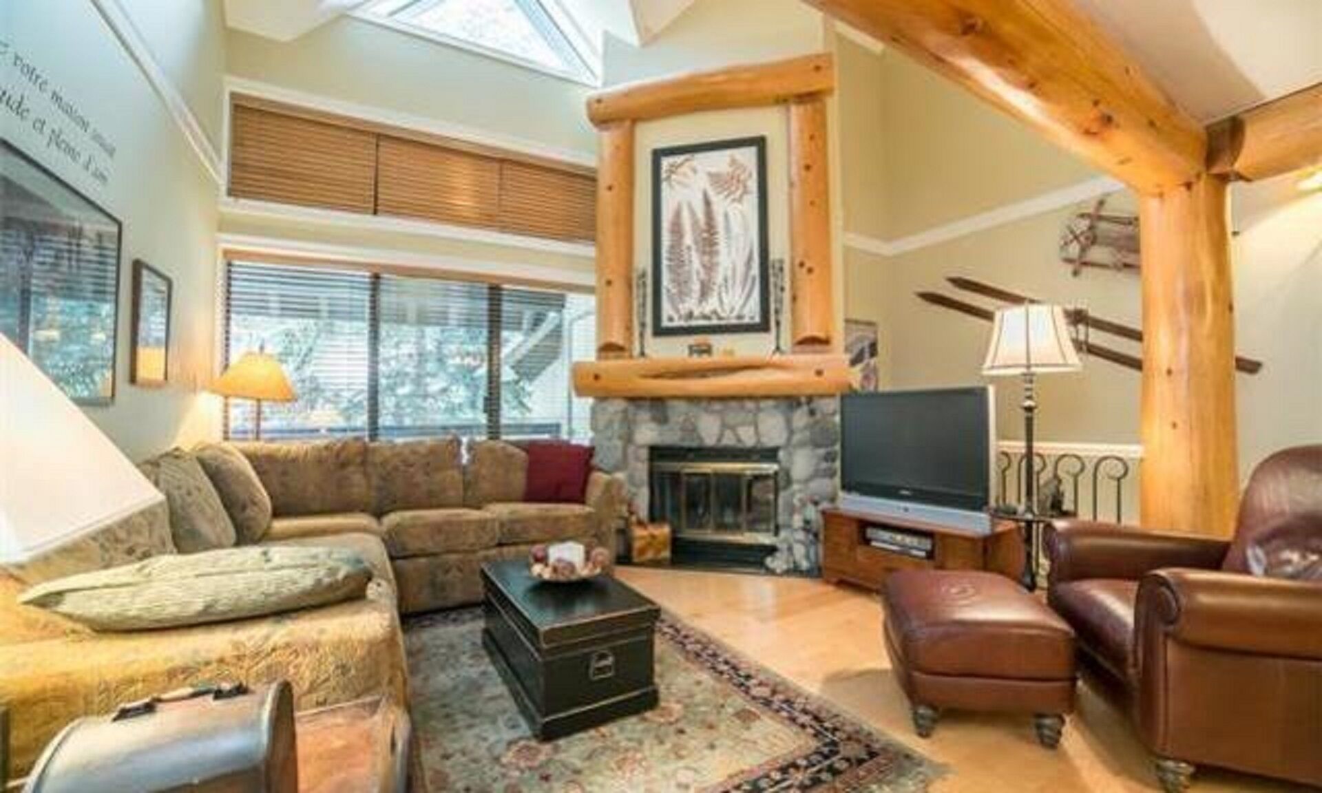 TV, fireplace, DVD player, books