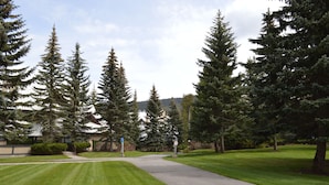 A pathway leading through a park with tall evergreen trees and a building with a red roof in the background.
