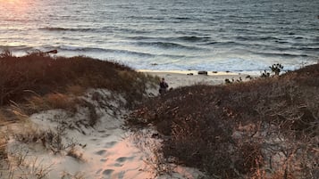 在海滩