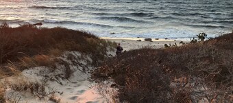 Lambert's Cove Bog House