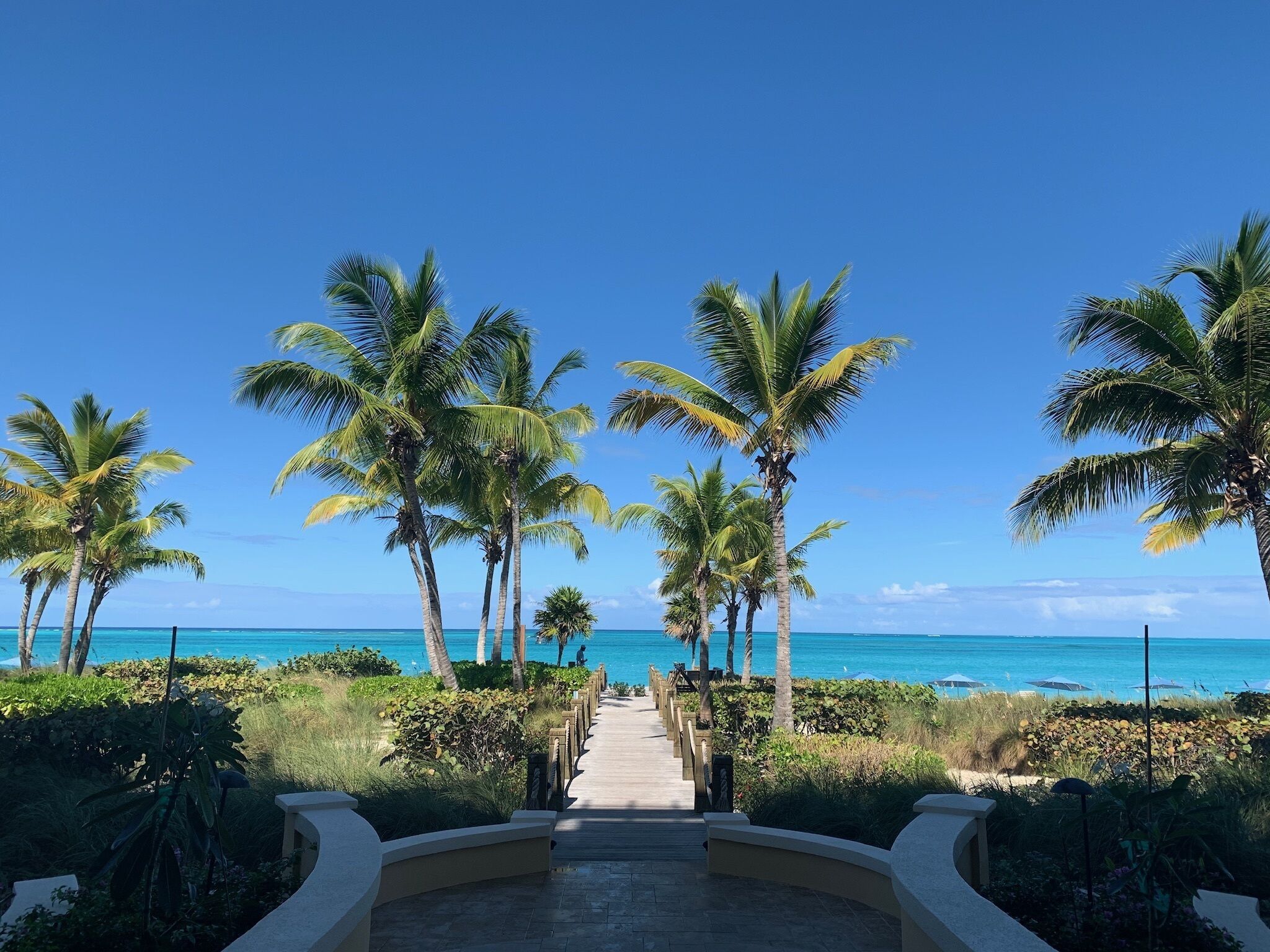 A pathway leading to a beach with palm trees and a clear view of the ocean.