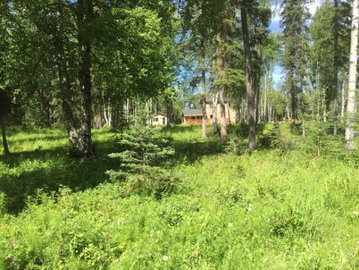 Back Woods Cabin... End Of The Road, Quiet...