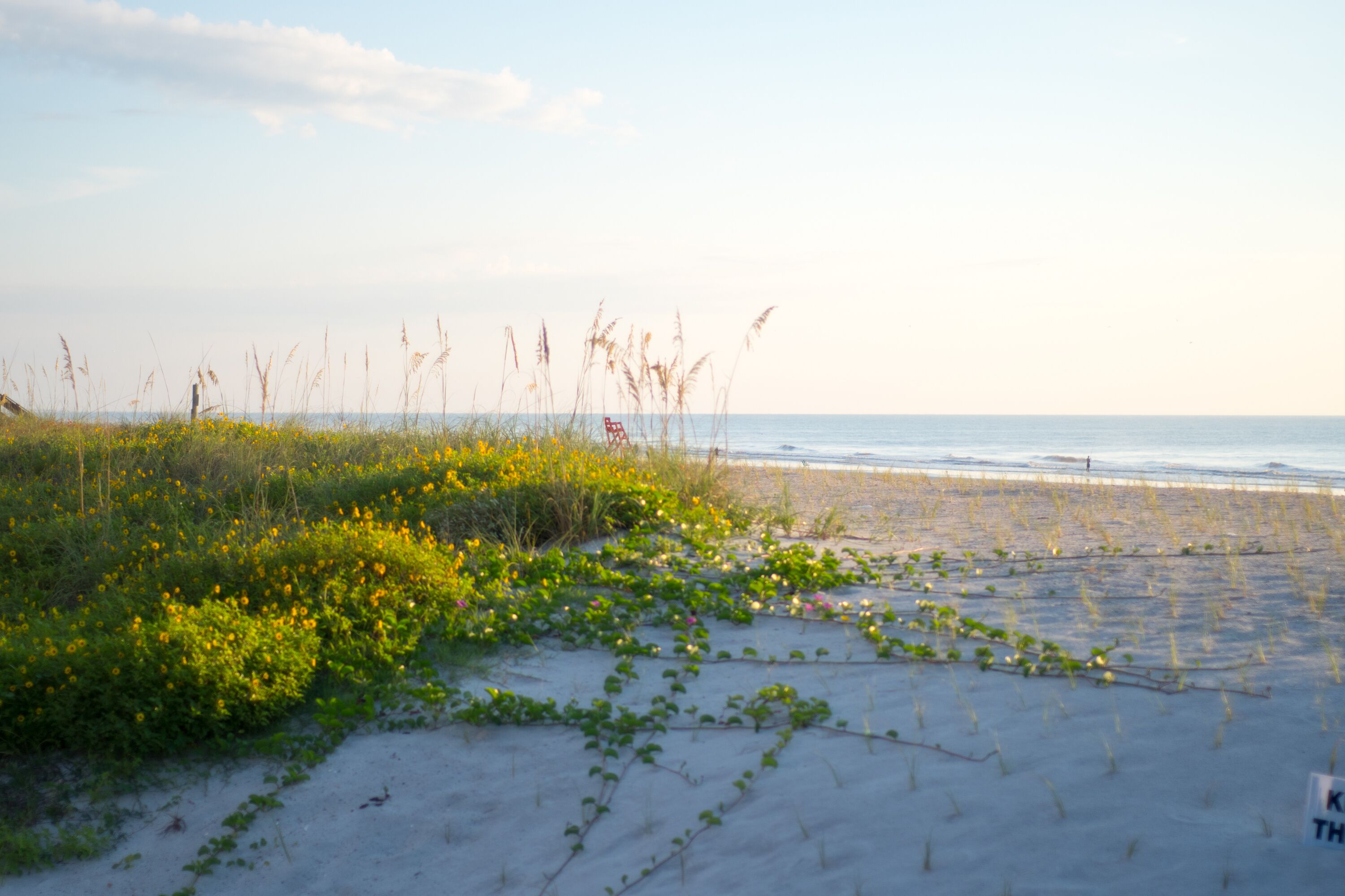 Am Strand, Liegestühle, Strandtücher