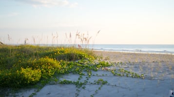 海灘、躺椅、沙灘巾
