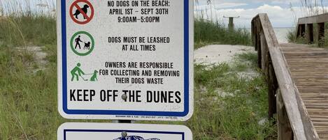 A beach sign with rules for dog access and a sea turtle symbol.