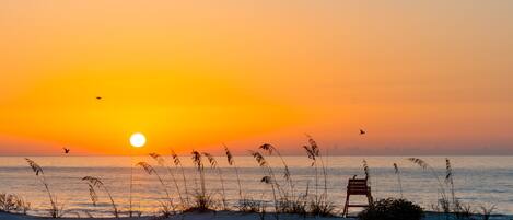 On the beach, sun-loungers, beach towels