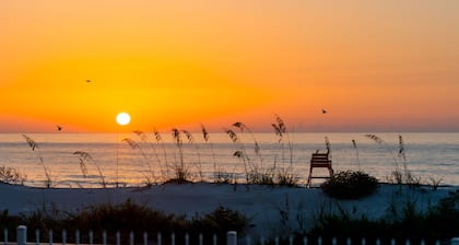 Oceanfront Condo! Patio to lawn, stay right at the beach! + 2 Bikes!