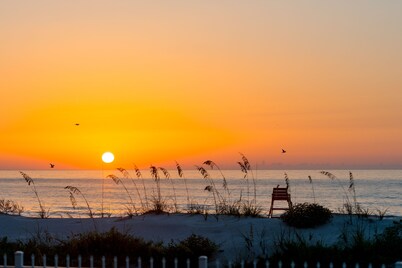 Oceanfront Condo! Patio to lawn, stay right at the beach! + 2 Bikes!