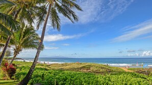 Een strand met palmbomen, een grasveld en de oceaan op de achtergrond.