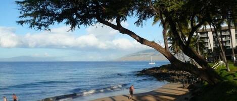 Una playa cerca, sillas reclinables de playa, toallas de playa