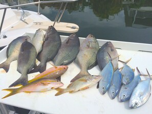 Restaurant - Tropical Island Paradise W / Open Water Views!  (Cudjoe Key)