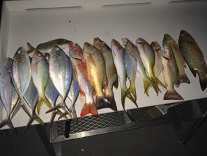 Miscellaneous - Tropical Island Paradise W / Open Water Views!  (Cudjoe Key)