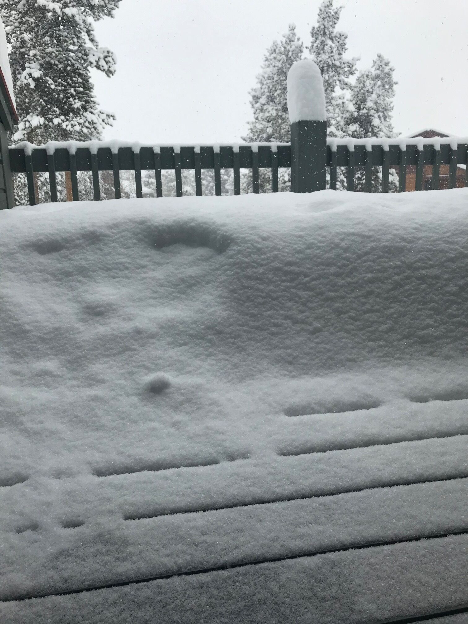 Een sneeuwbedekt terras met een houten hek en een sneeuwbedekte boom op de achtergrond.