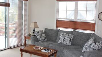 TV, fireplace, DVD player, books