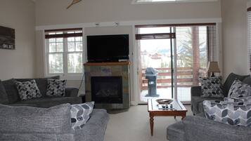 TV, fireplace, DVD player, books