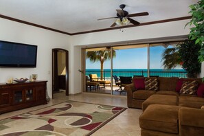 Smart TV, DVD player, books, video library