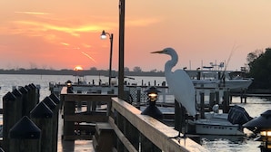 Eine Holzstege mit einem weißen Boot, einem Laternenpfahl und einem großen weißen Vogel auf der Geländer.