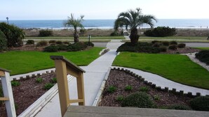 A pathway leading to a beach with a palm tree and a wooden bench in the foreground. - Flop On In: Bring your flipflops and enjoy the best of Myrtle Beach (Myrtle Beach)