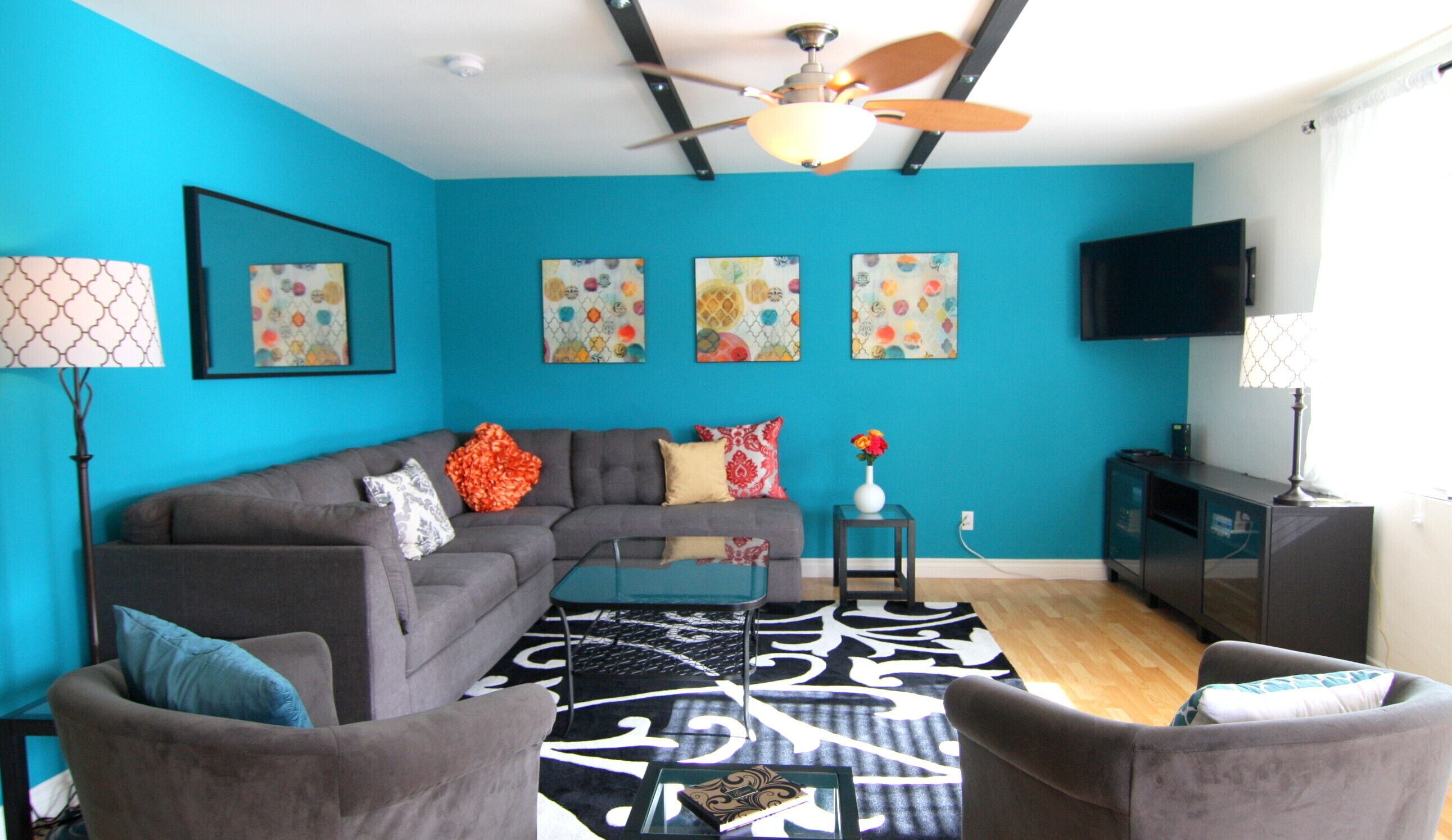 Televisión, reproductor de DVD y videoteca 