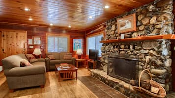 TV, fireplace, books