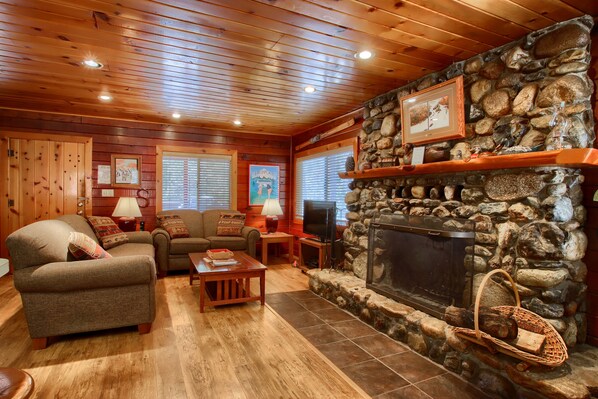 TV, fireplace, books