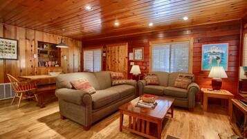 TV, fireplace, books