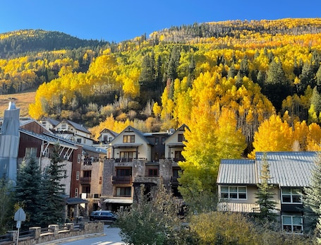 Exterior. Bright, light sanctuary with stunning views and a deck overlooking the river