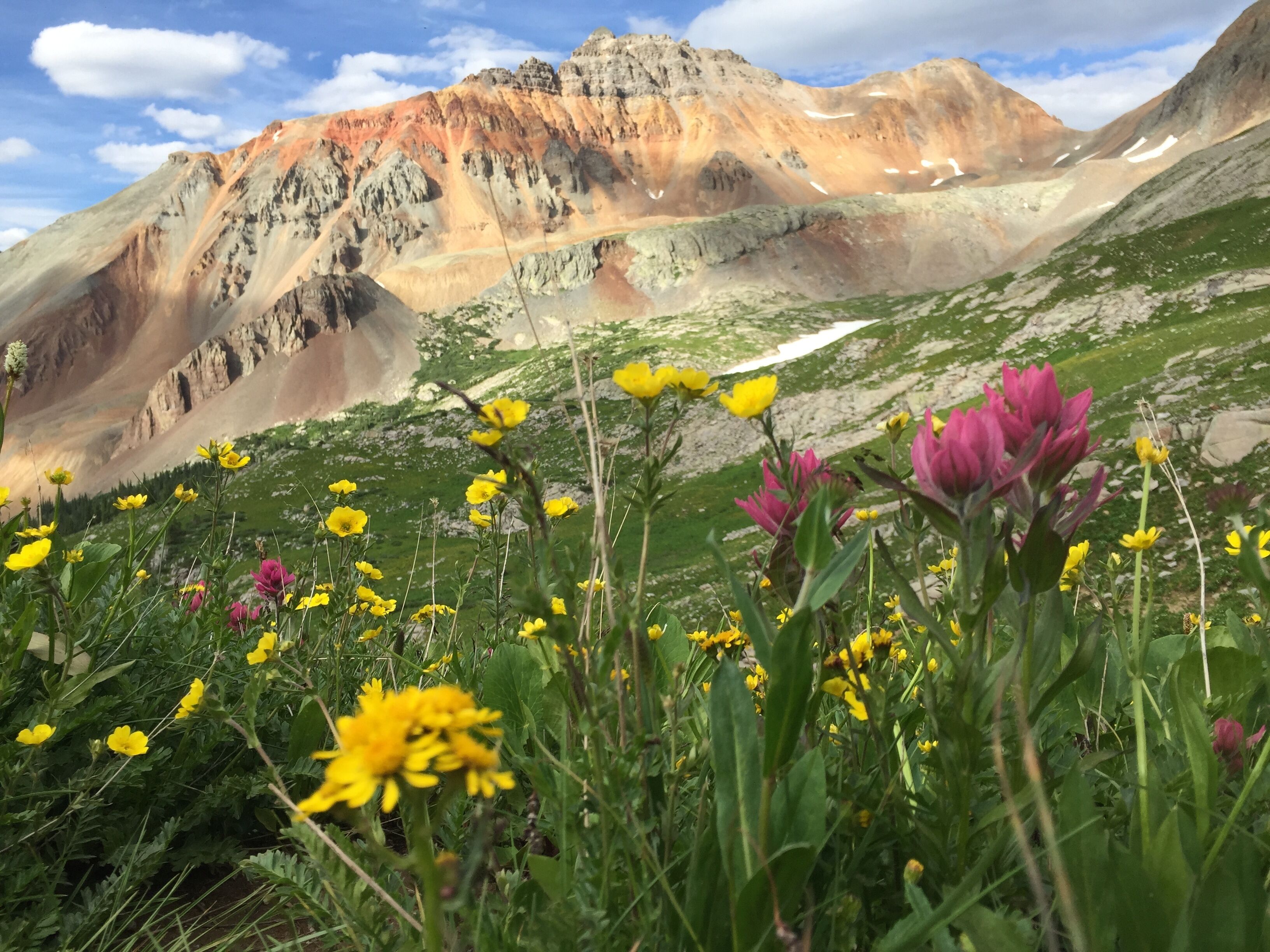 Un paisaje montañoso con cielo despejado, mostrando un campo de flores silvestres amarillas y rosadas en primer plano.