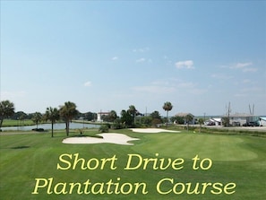 Golf - 7 Brm, 5 1/2 baths! Beautiful Ocean views (Edisto Beach)