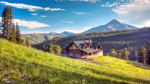 Eine Holzhütte mit geneigtem Dach, umgeben von einer saftig grünen Wiese und einem bewaldeten Berg im Hintergrund.