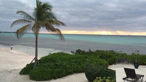 Vista de una playa con una palmera, una silla y una planta en maceta.