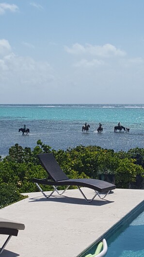 Pool - Grand Cayman Private Beach Cottage Without The High Price (Pease Bay)