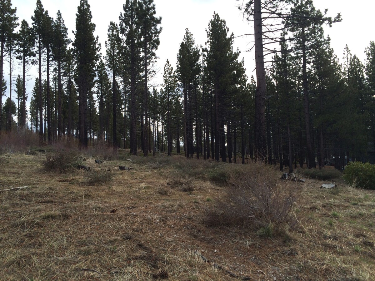 Photo 29
