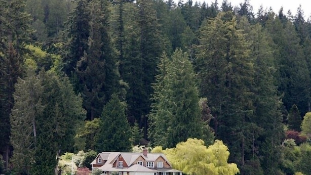 A coastal house with a large front lawn, a driveway, and a small shed. - Bainbridge Island (Puget Sound):No-Bank Waterfront Sandy Beach (Bainbridge Island)