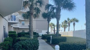 A pathway flanked by well-maintained hedges and palm trees, leading to a multi-story building with balconies. - Reduced Rates!!  A+ Spectacular Beach Front Condo! 1 BR 2 bath, sleeps up to 6. (Orange Beach)