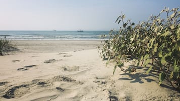 Experience a serene beach getaway with a sandy shoreline and ocean views.