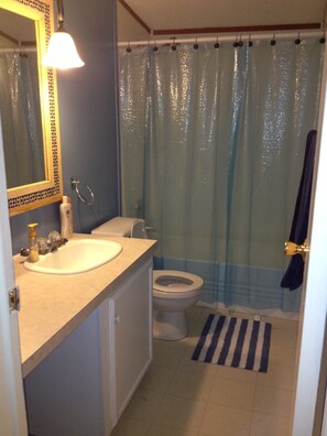 Combined shower/bathtub, towels, soap, toilet paper - Falcon Lake-The Ultimate Fishing Cabin (Zapata)