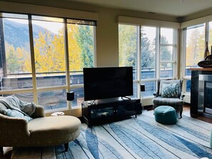 Smart TV, fireplace, DVD player, video library