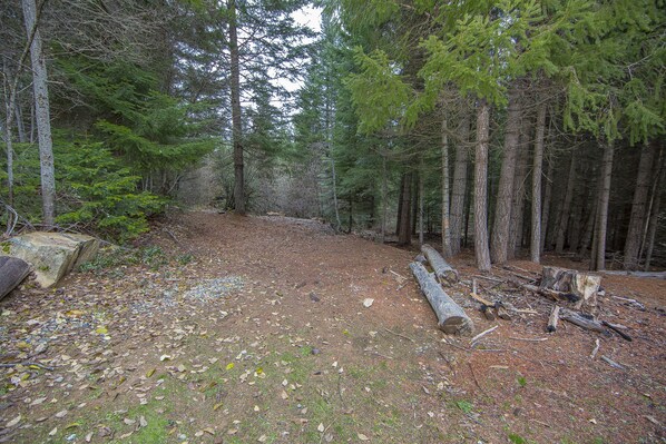 A forested area with a dirt path, logs, and a large rock.